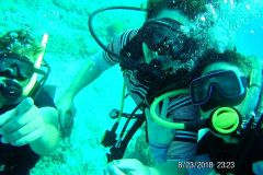 Diving-Summer-2018-10