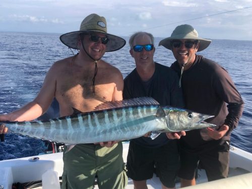 25659b8b-de6e-4aec-b890-ee9692a818d8